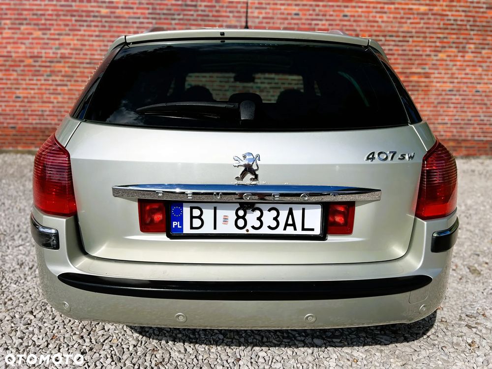 Peugeot 407 - 29