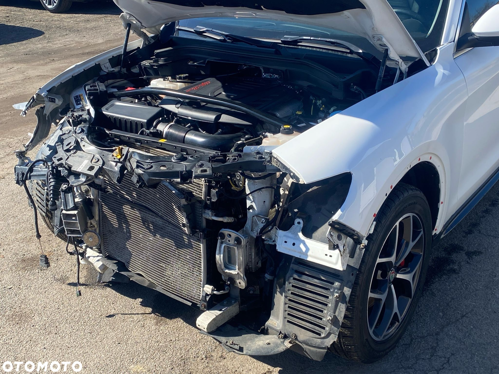Alfa Romeo Stelvio 2.0 Turbo TI Q4 - 6