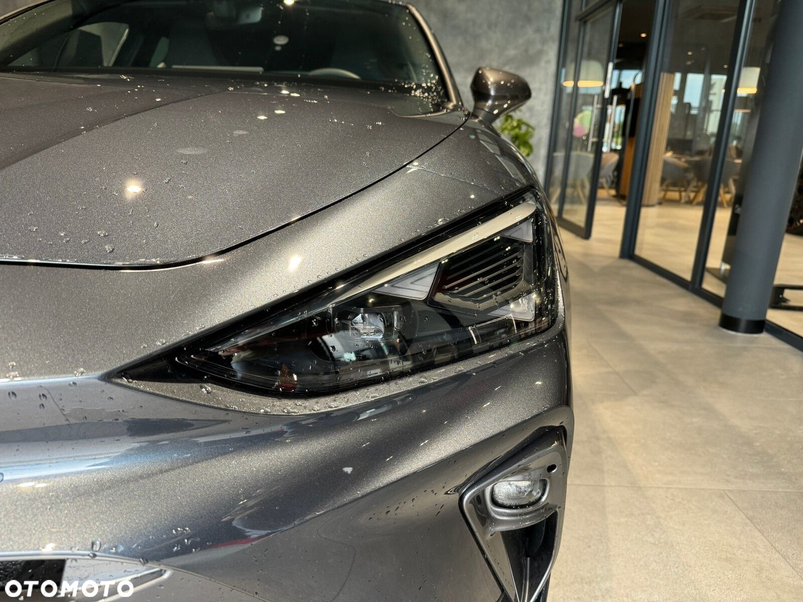 Cupra Leon - 5