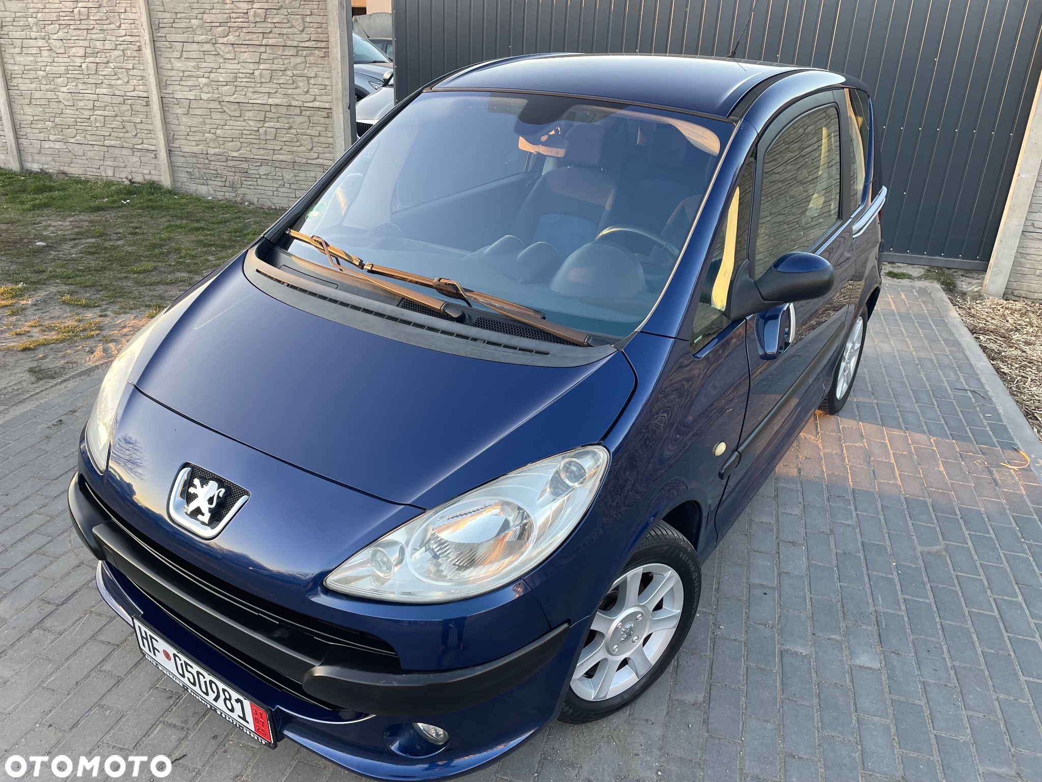 Peugeot 1007 - 19