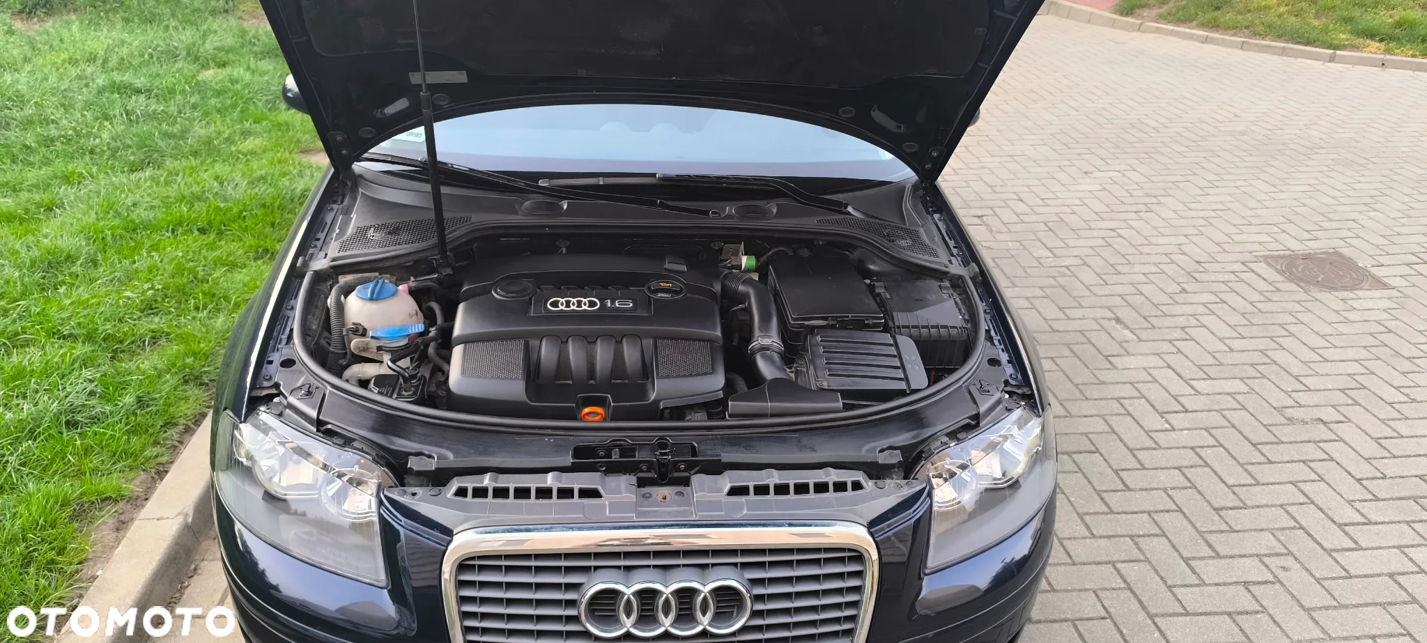 Audi A3 1.6 Sportback Ambition - 5