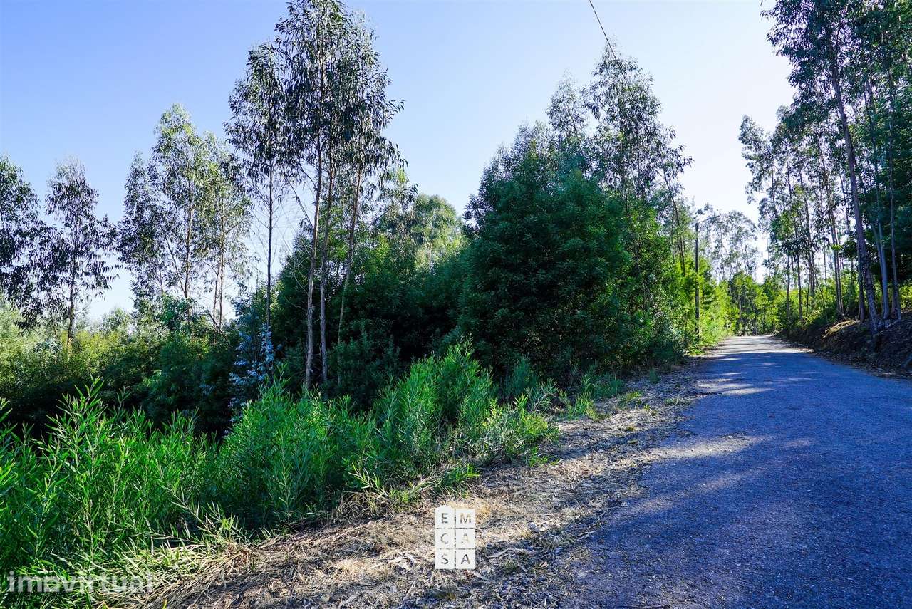 Terreno  Venda em Pinheiro da Bemposta, Travanca e Palmaz,Oliveira de - Grande imagem: 5/12