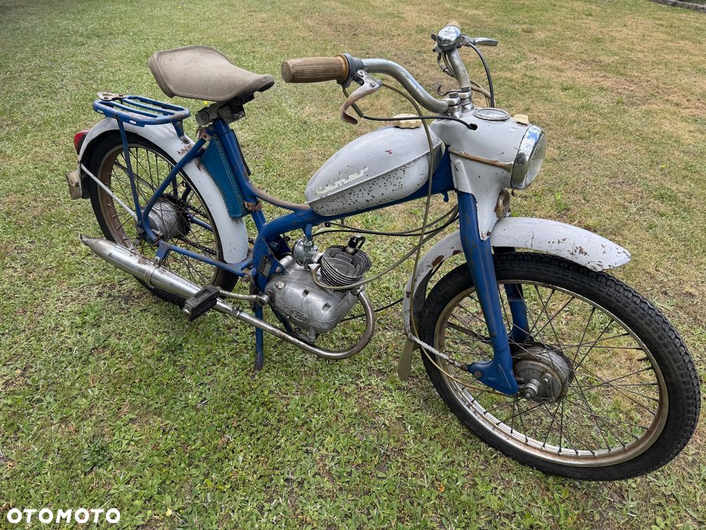 Komar Inny - 4