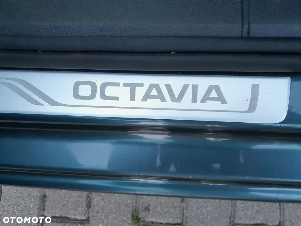 Skoda Octavia 2.0 TDI (Green tec) DSG Joy - 11