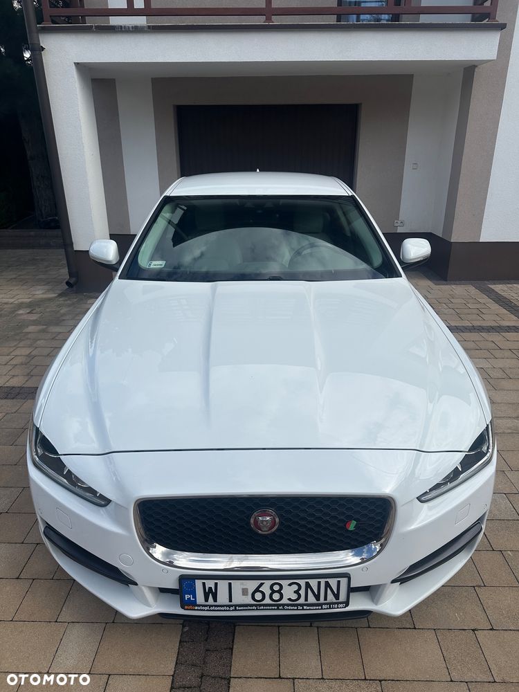 Jaguar XE - 19