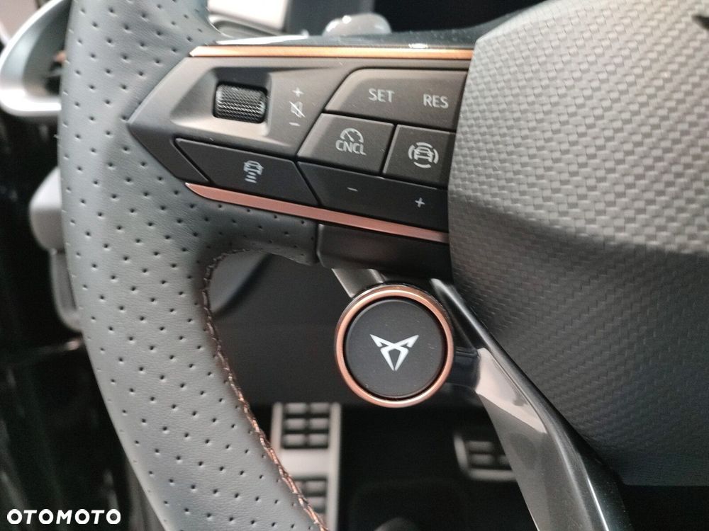 Cupra Terramar - 15