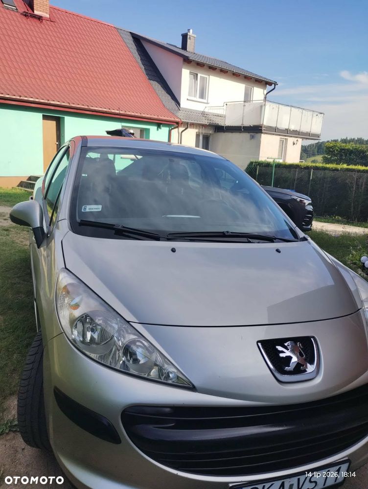 Peugeot 207 - 17