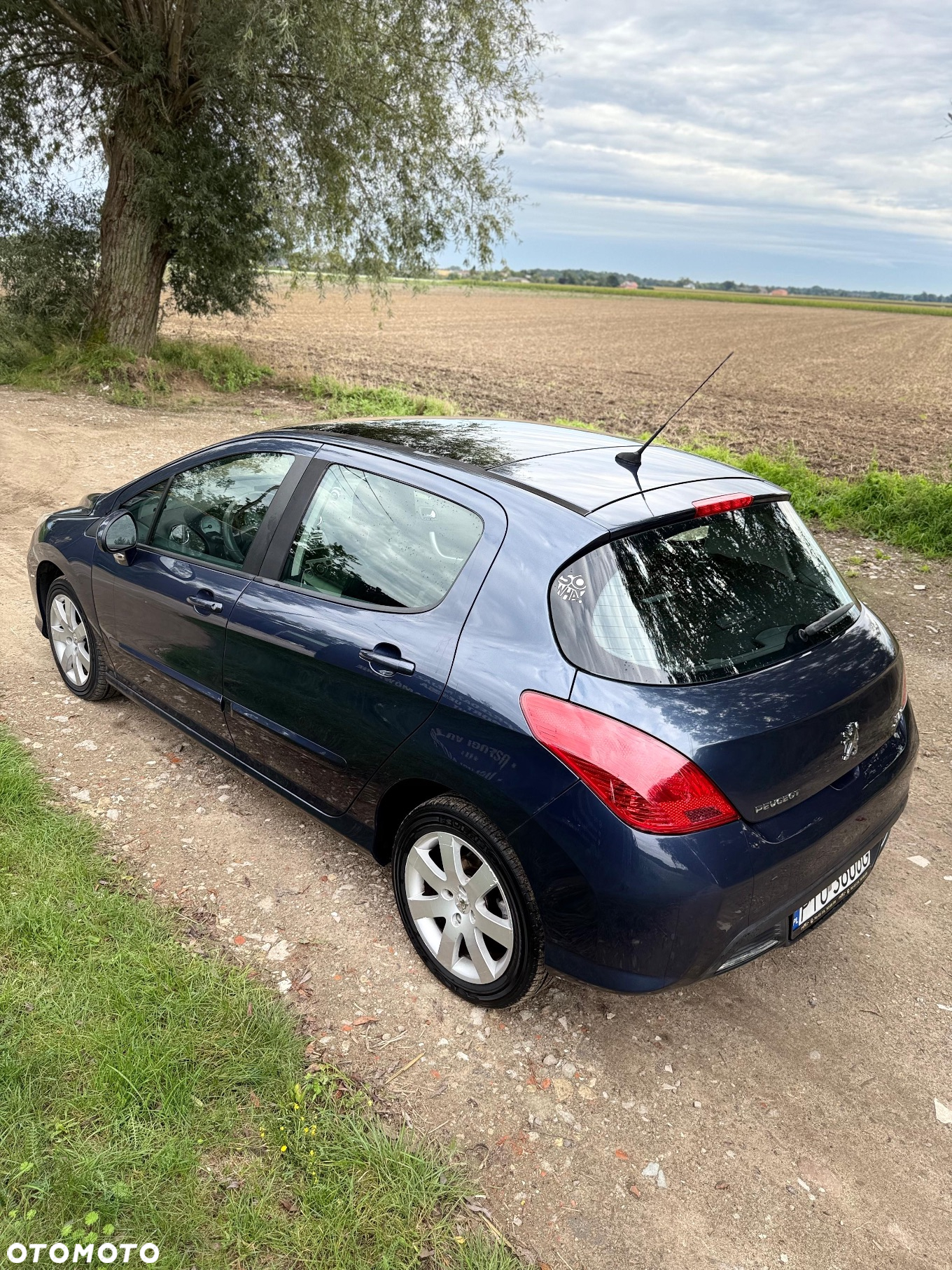 Peugeot 308 1.6 Premium Plus - 22