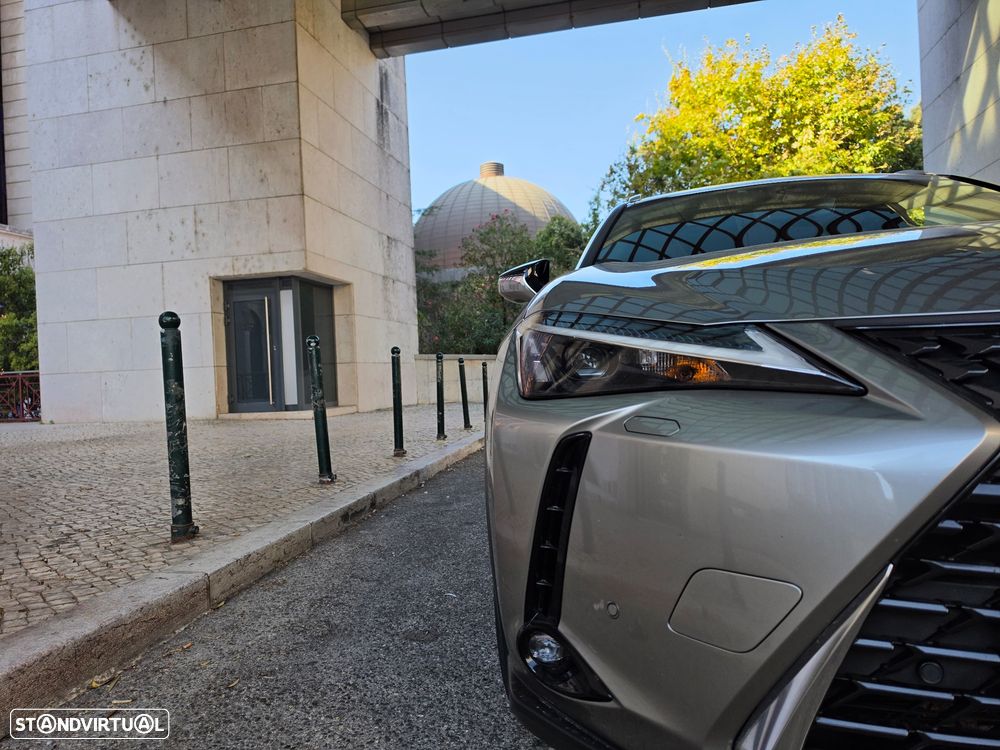 Lexus UX 250h Premium - 19