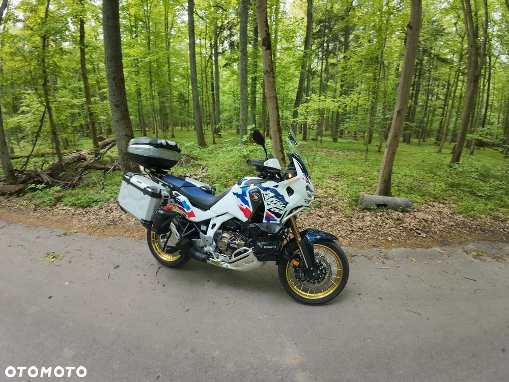 Honda CRF - 6