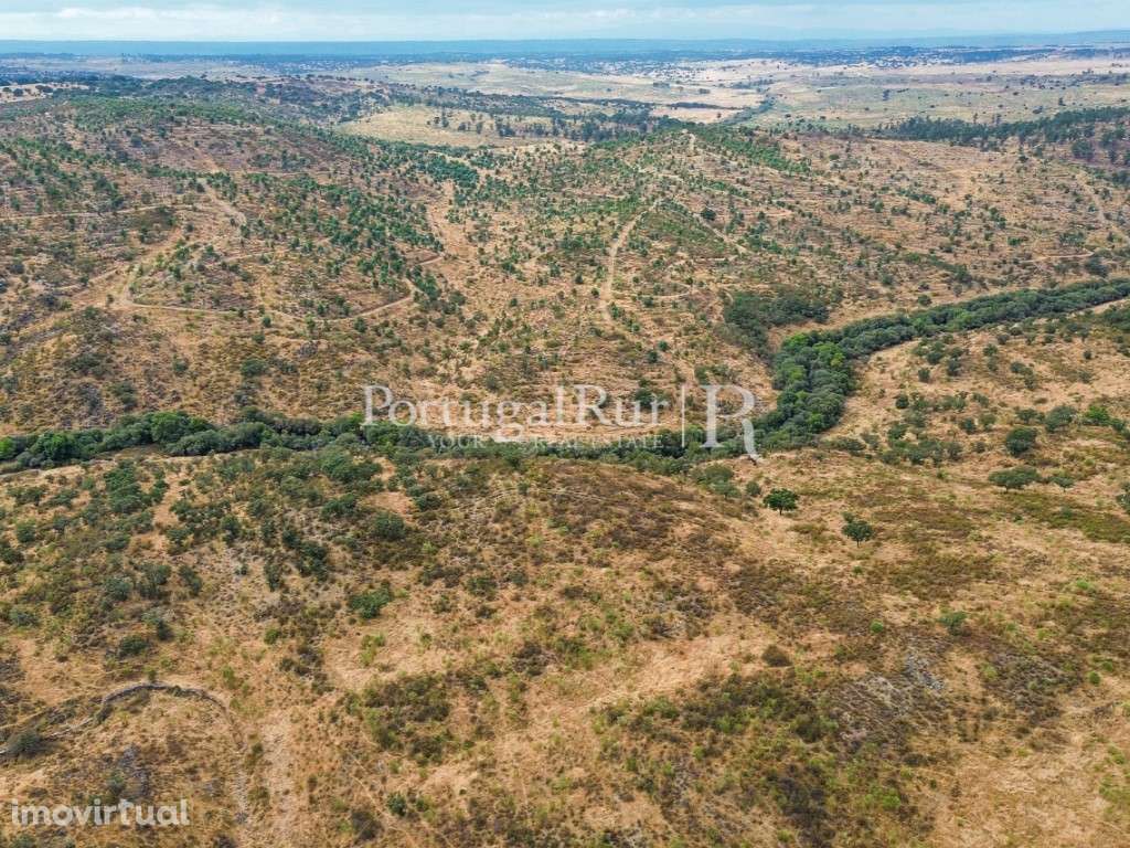 Propriedade agroflorestal com 39 hectares em Idanha-a-Nova - Grande imagem: 2/12