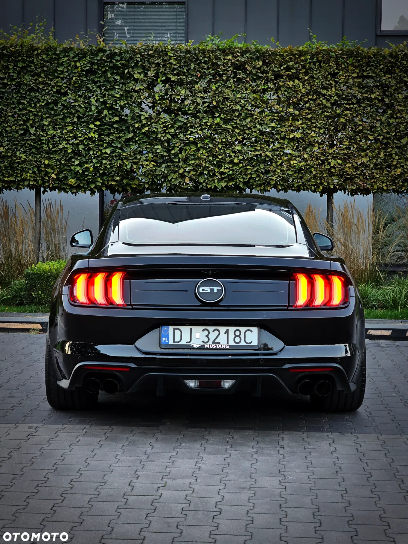 Ford Mustang 5.0 V8 GT - 5