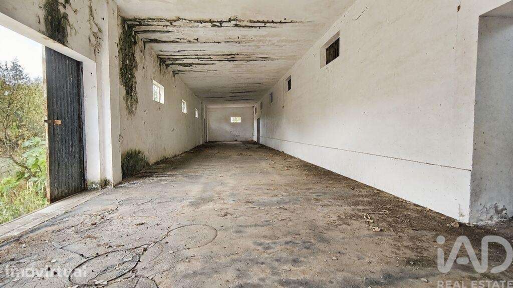 Terreno para construção em Cabeço de Vide - Grande imagem: 2/12