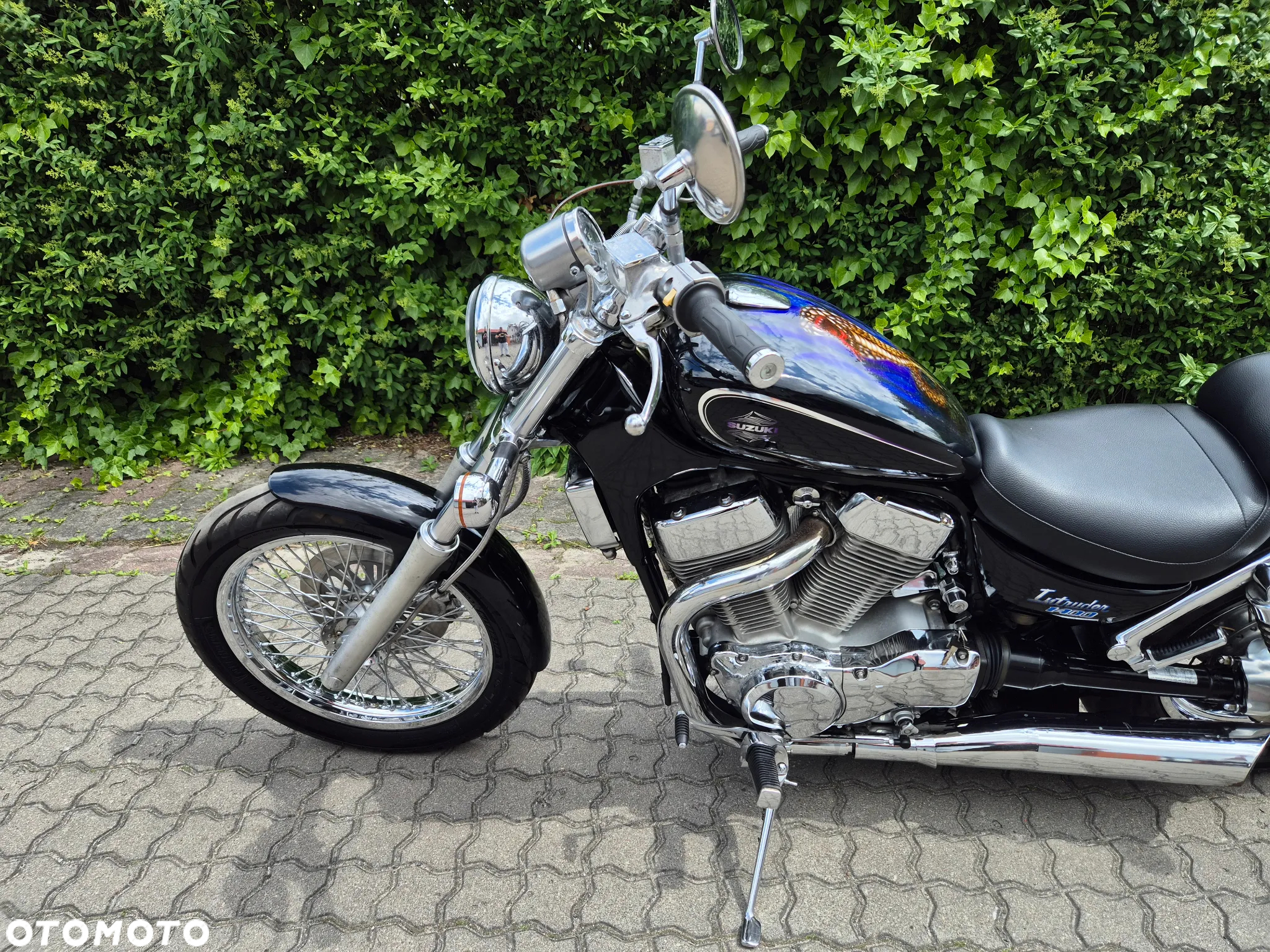 Suzuki Intruder - 19