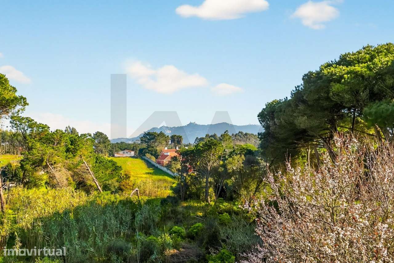 Moradia T4+1 Exclusiva com Vista Panorâmica sobre a Serra de Sintra e - Grande imagem: 3/51