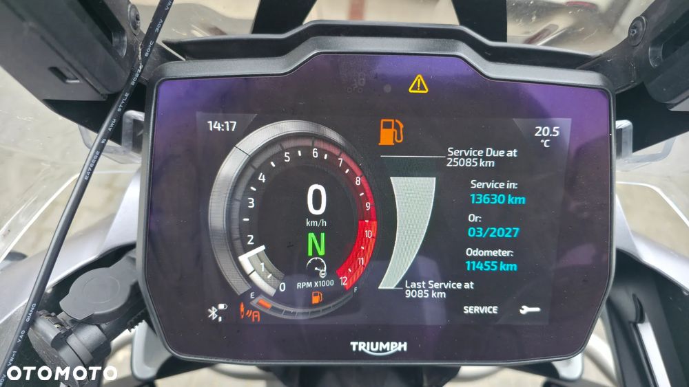 Triumph Tiger - 3