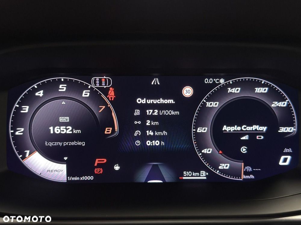 Cupra Terramar - 10