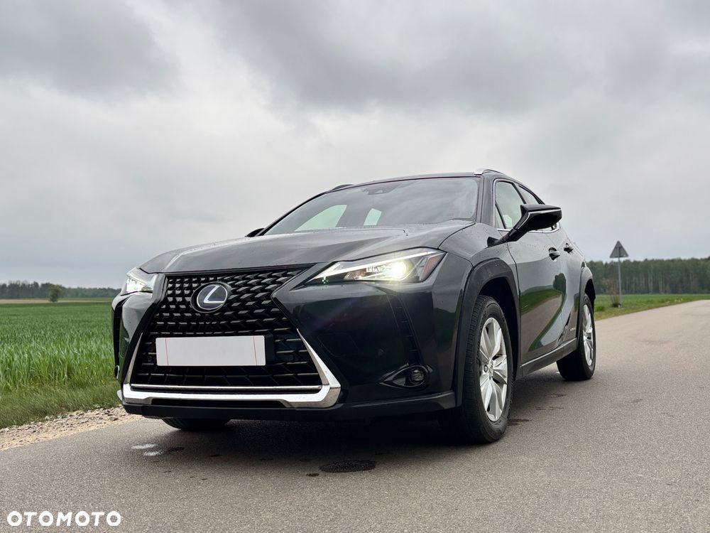 Lexus UX 250h Executive Line - 14
