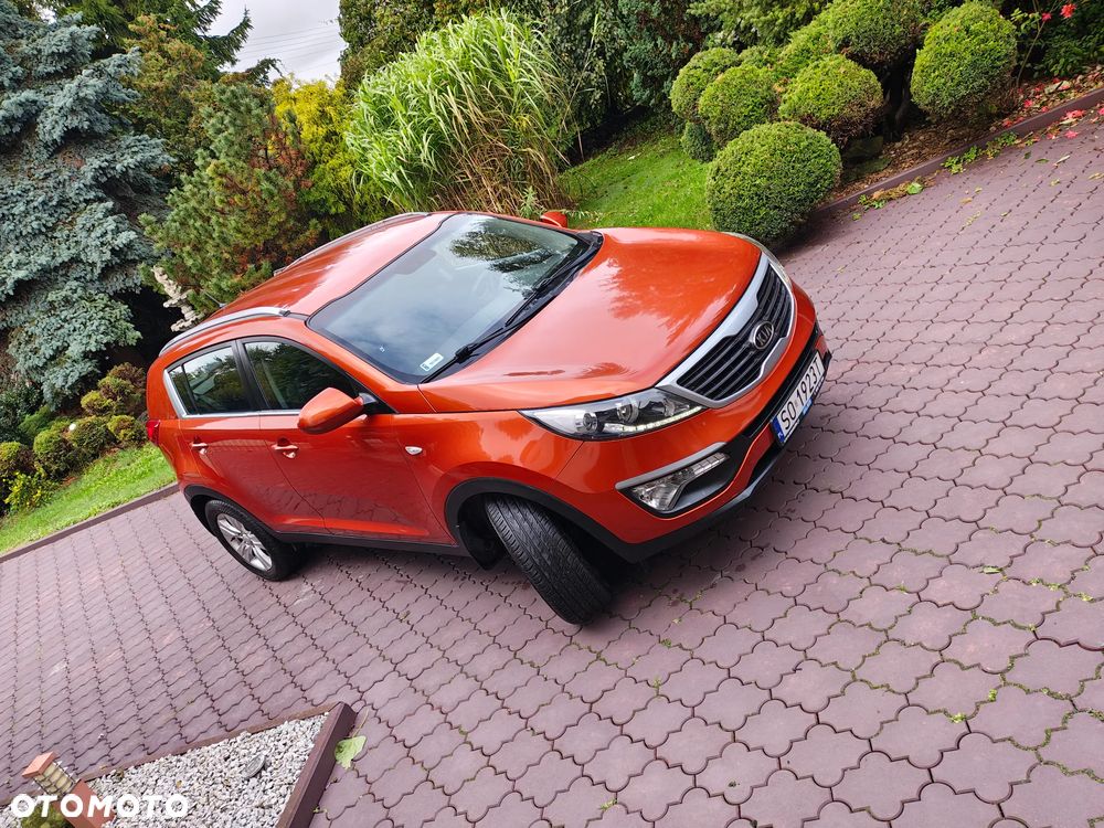 Kia Sportage - 5