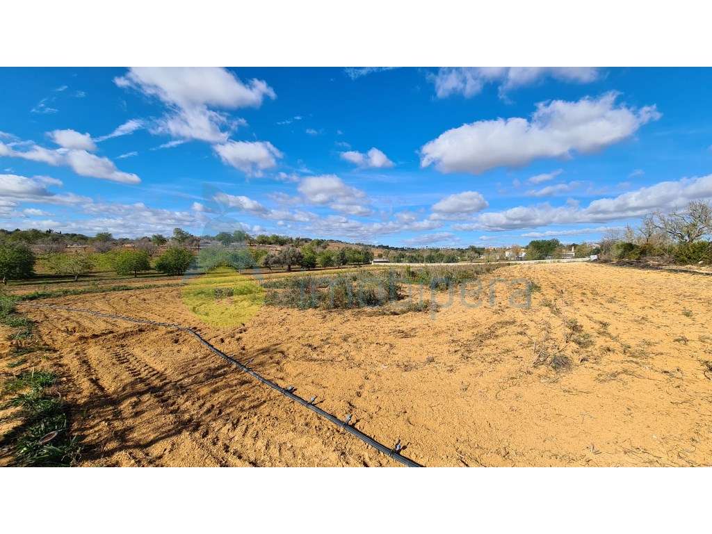 Terreno com 15600m2 em Albufeira, com 10 casinhas amovíveis e com f... - Grande imagem: 2/9