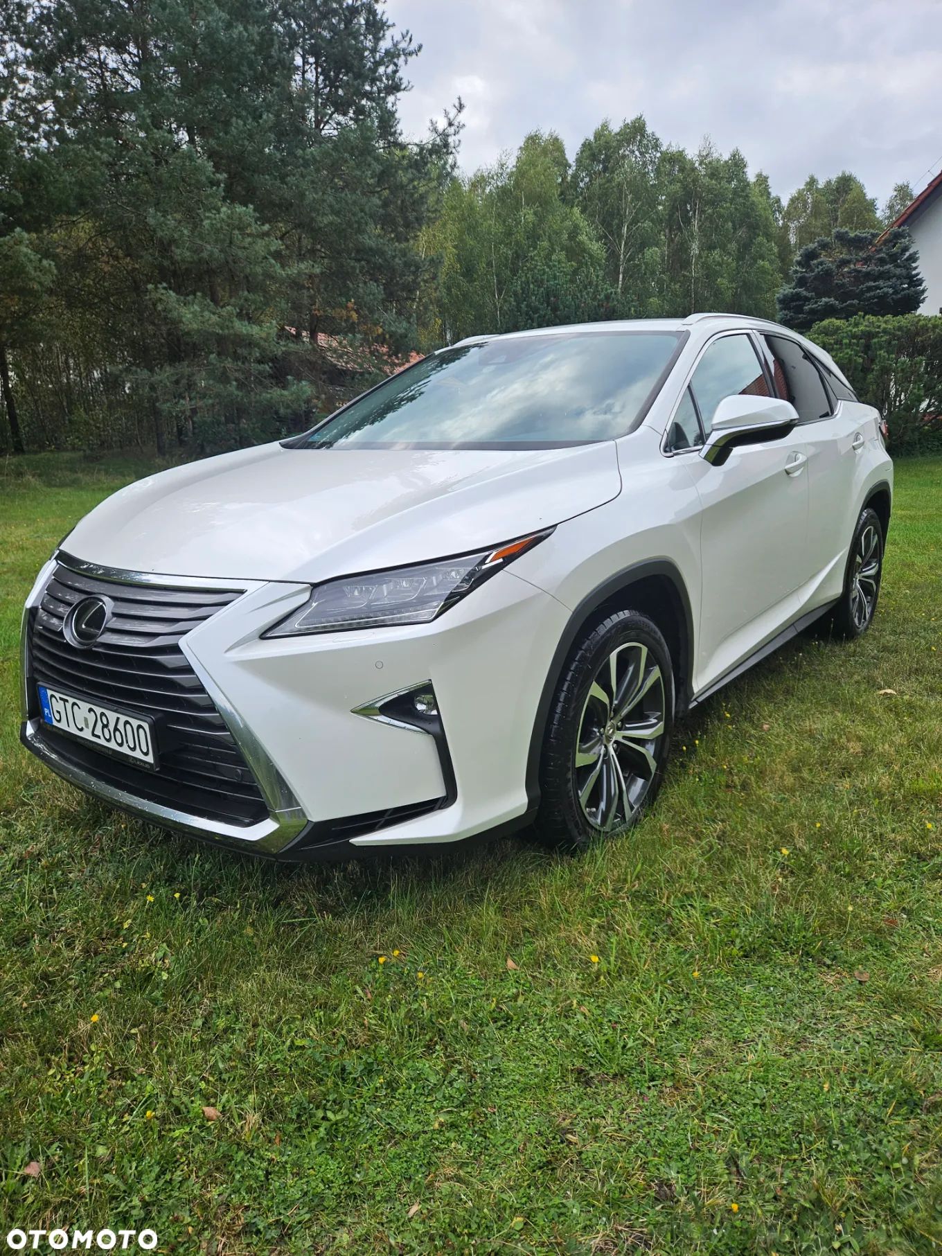 Lexus RX 200t / 300 Elegance - 1