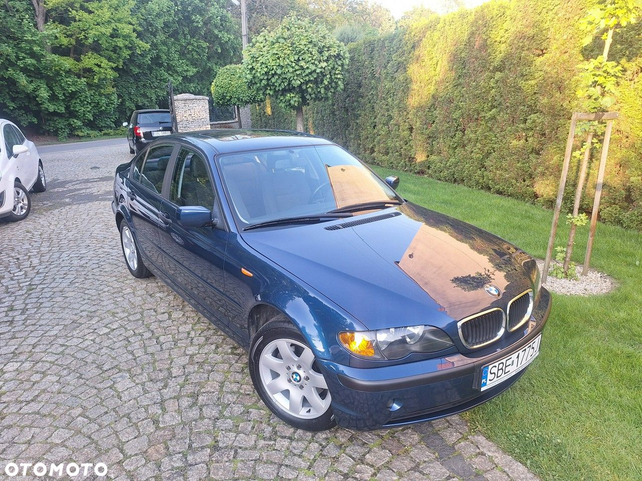 BMW Seria 3 318i Edition Exclusive - 24