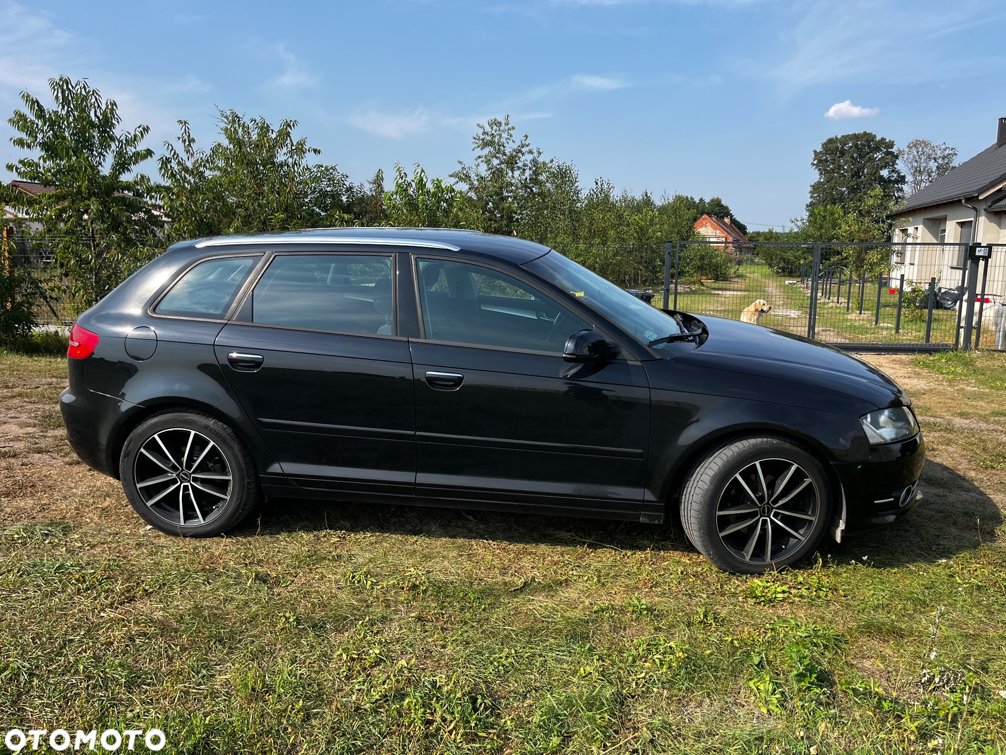 Audi A3 - 15