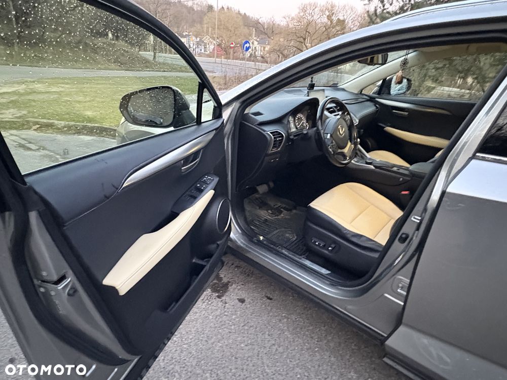 Lexus NX 300h Comfort AWD - 10