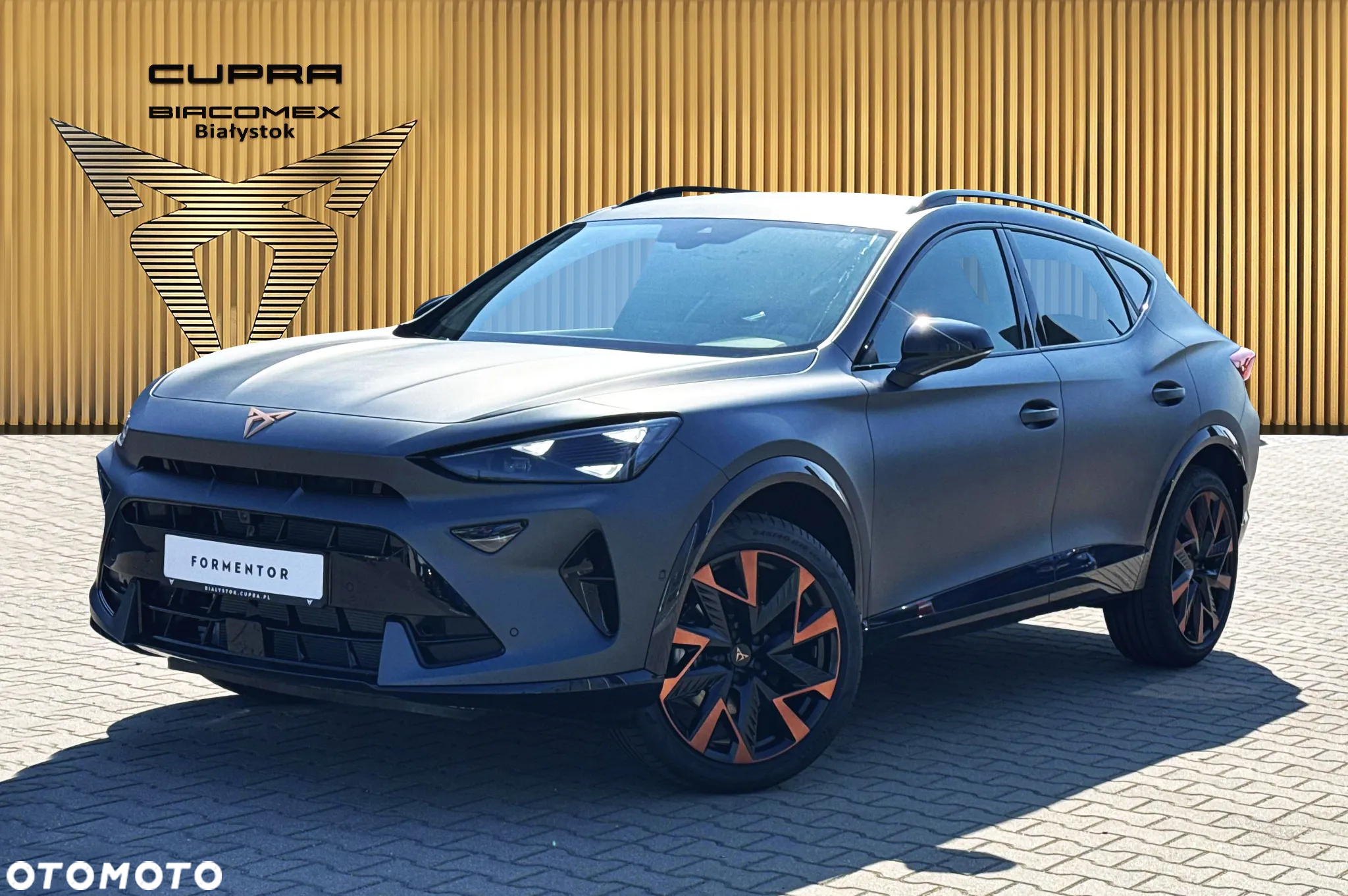 Cupra Formentor 1.5 TSI DSG - 2