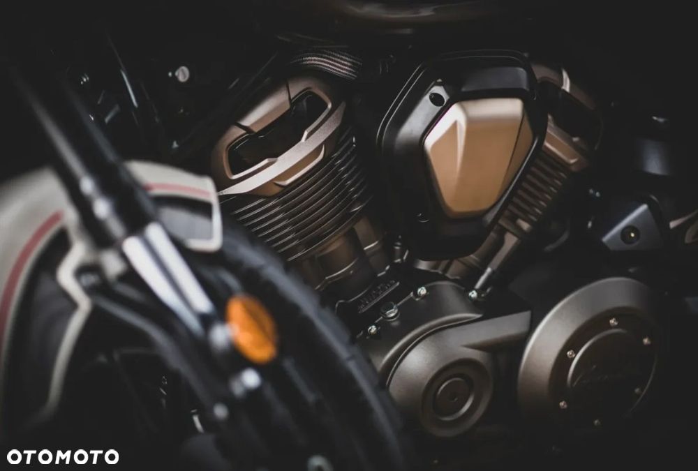 Benda Chinchilla 500 - 5