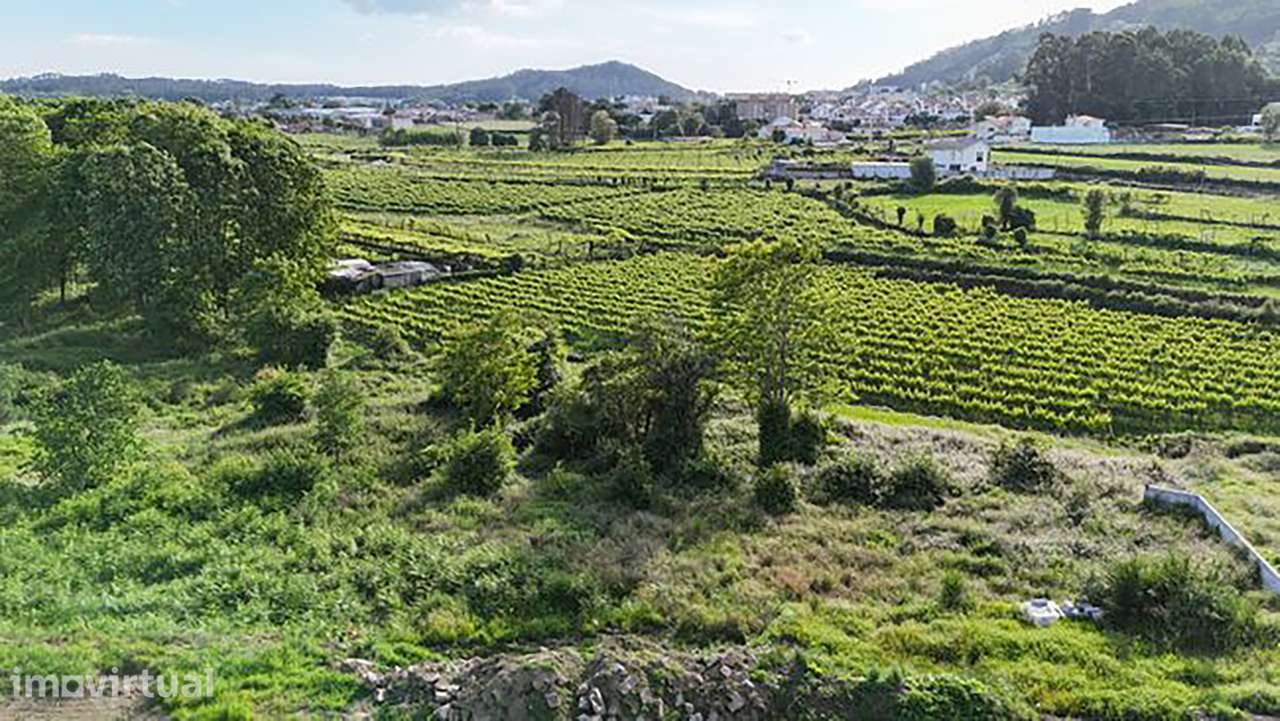 Terreno para Venda em Baltar - Paredes - Distrito do Porto - Grande imagem: 5/11