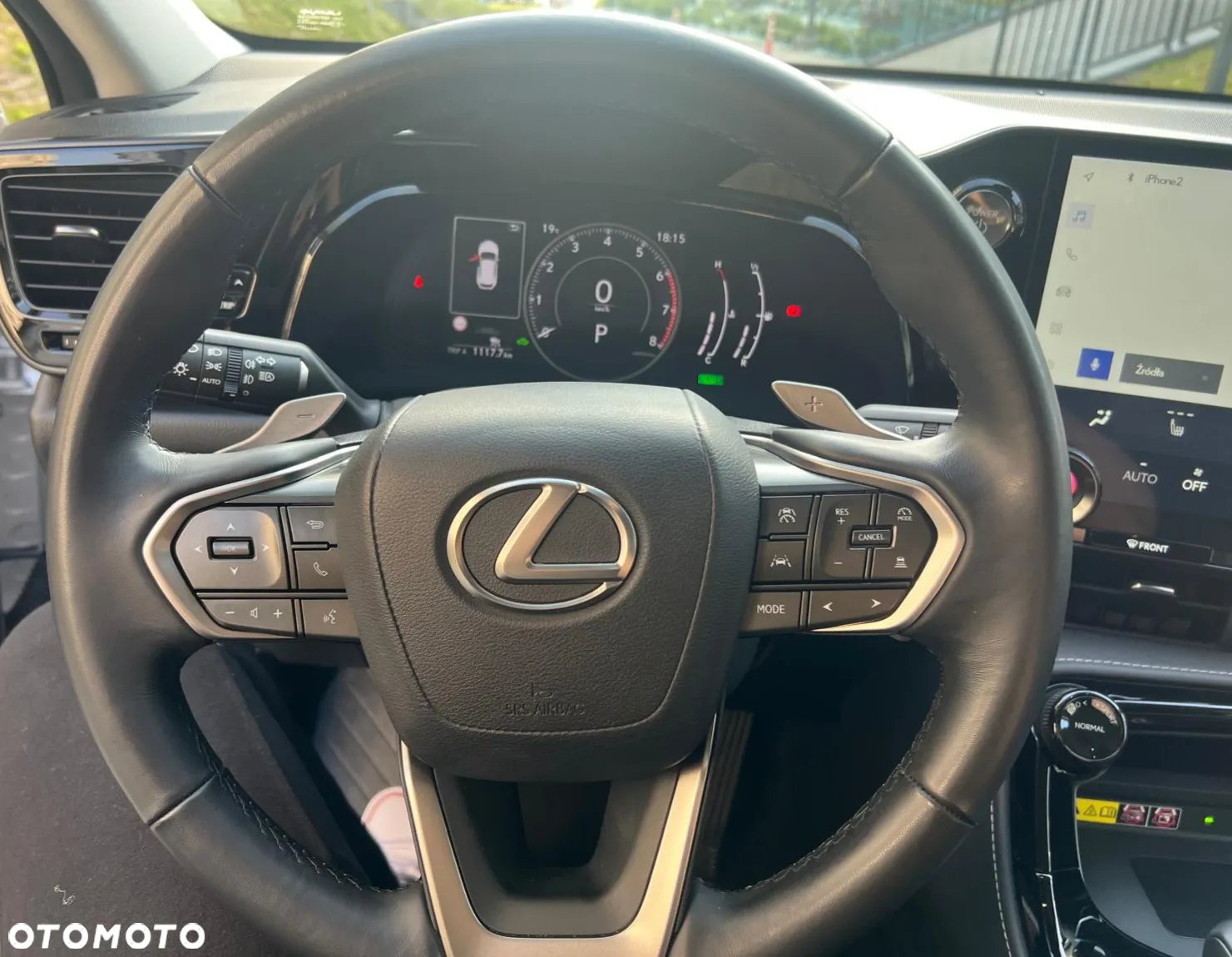 Lexus NX - 28
