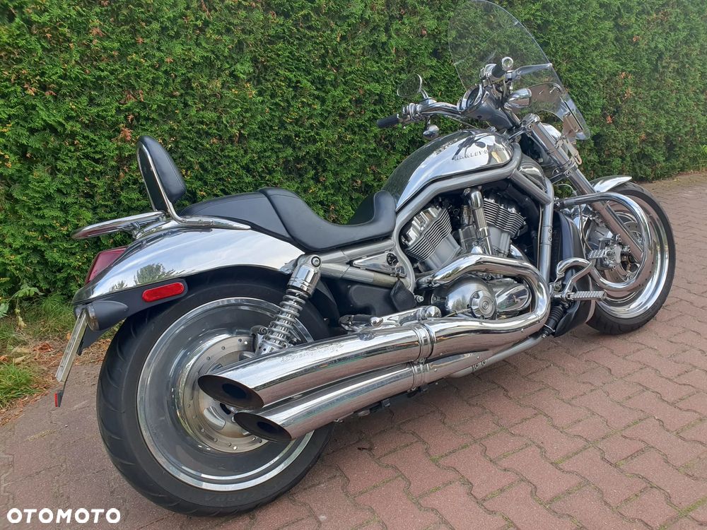 Harley-Davidson V-Rod Street Rod - 5