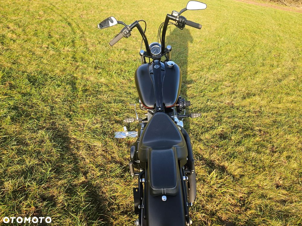 Harley-Davidson Softail Blackline - 14