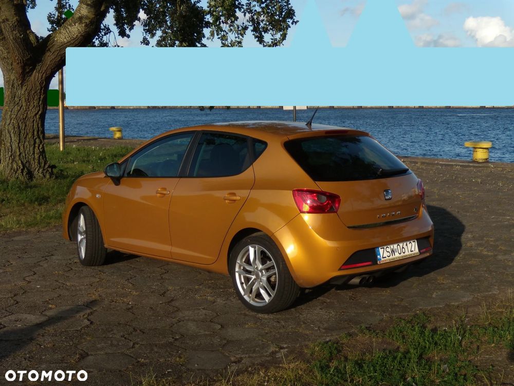 Seat Ibiza - 5