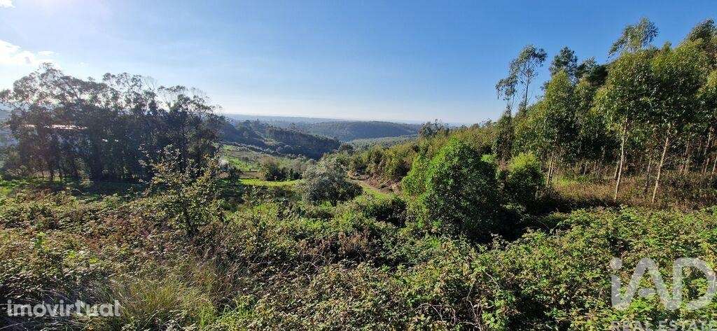 Terreno em Igreja Nova e Cheleiros de 10000,00 m2 - Grande imagem: 2/28