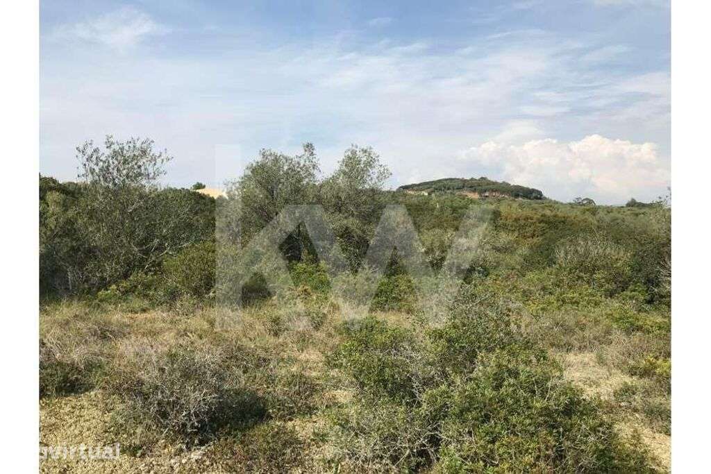 5 Terrenos Total 43.000 m2 em Alcolombal - Terrugem Sintra - Grande imagem: 3/6