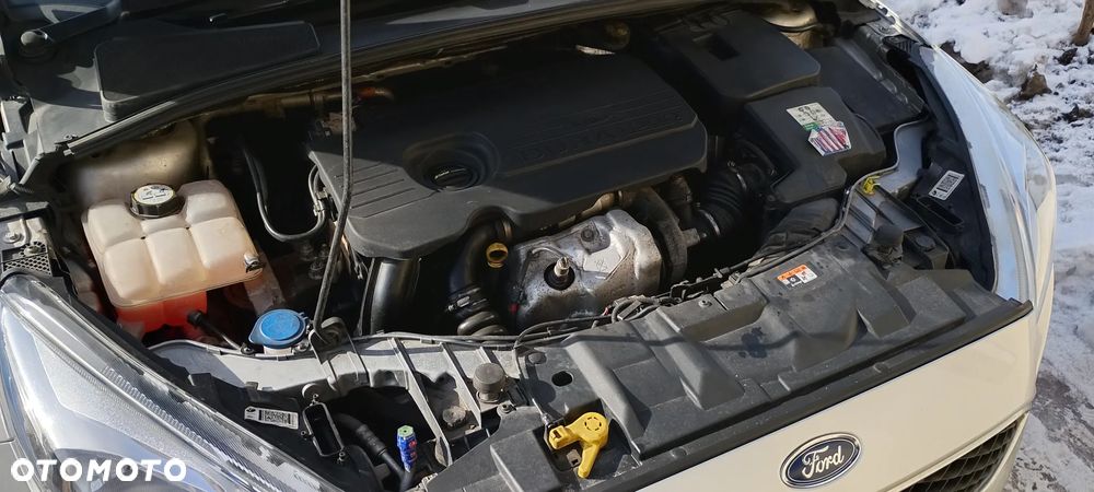 Ford Focus 1.5 TDCi Trend - 19