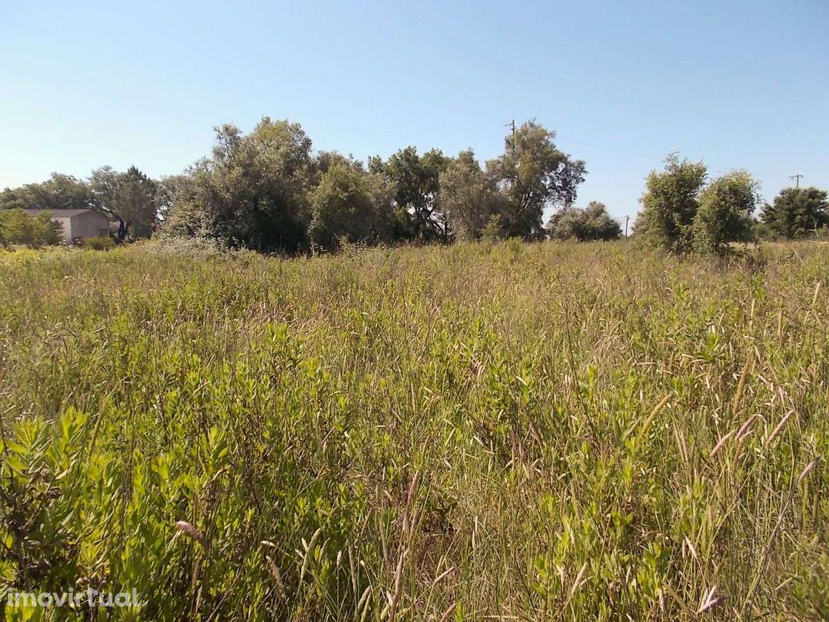 Terreno Rústico Fértil com 5760 m2 - Grande imagem: 3/4