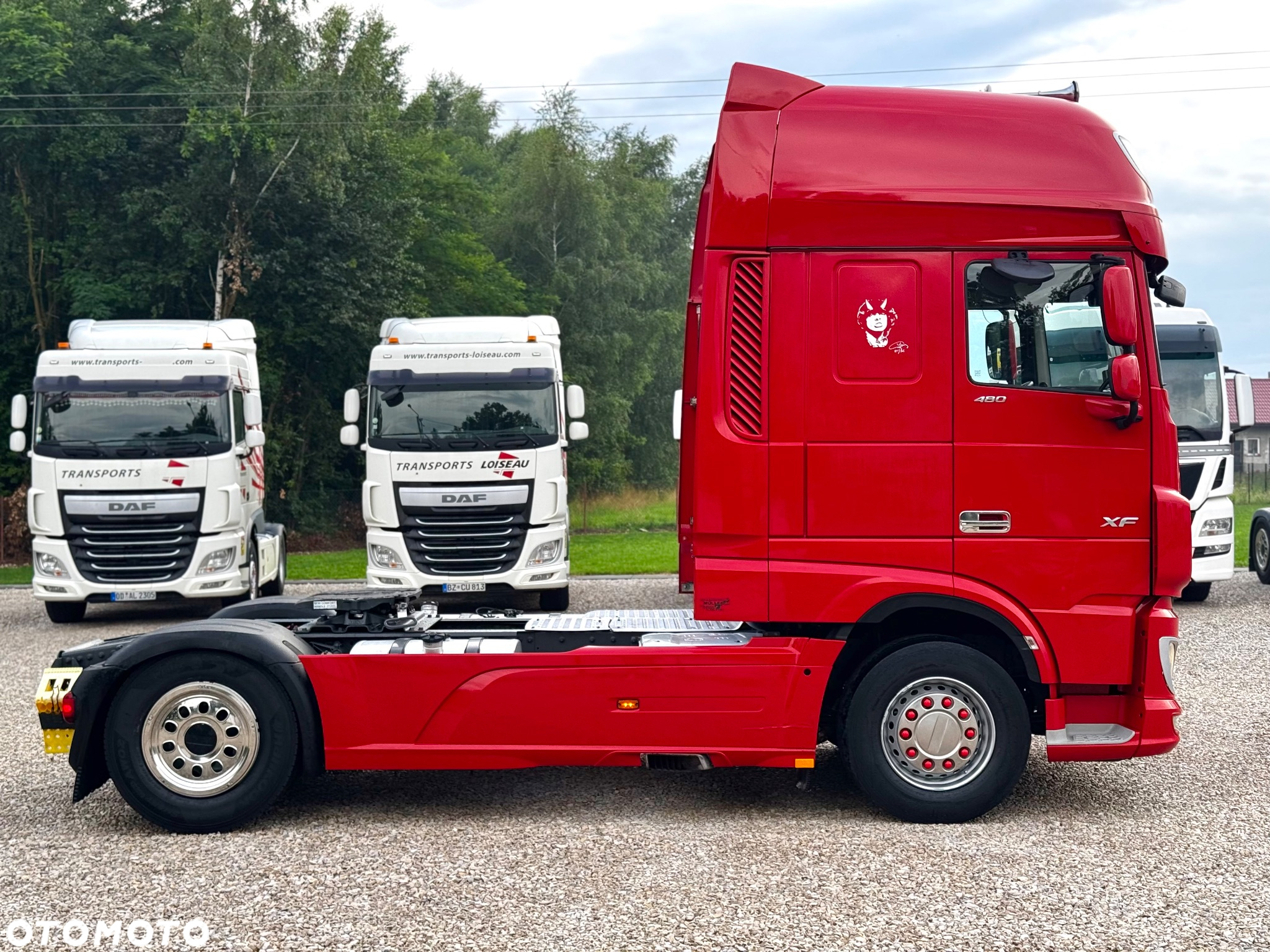 DAF XF 480/RETARDER/ Z NIEMIEC - 4