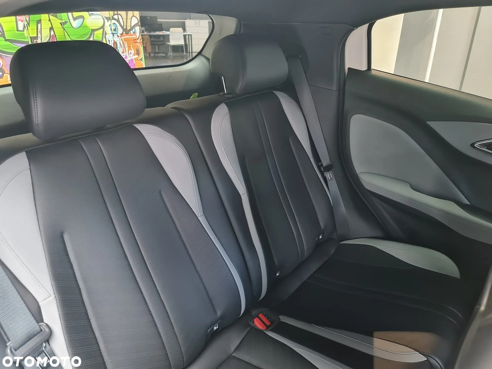 BYD Dolphin Surf - 22