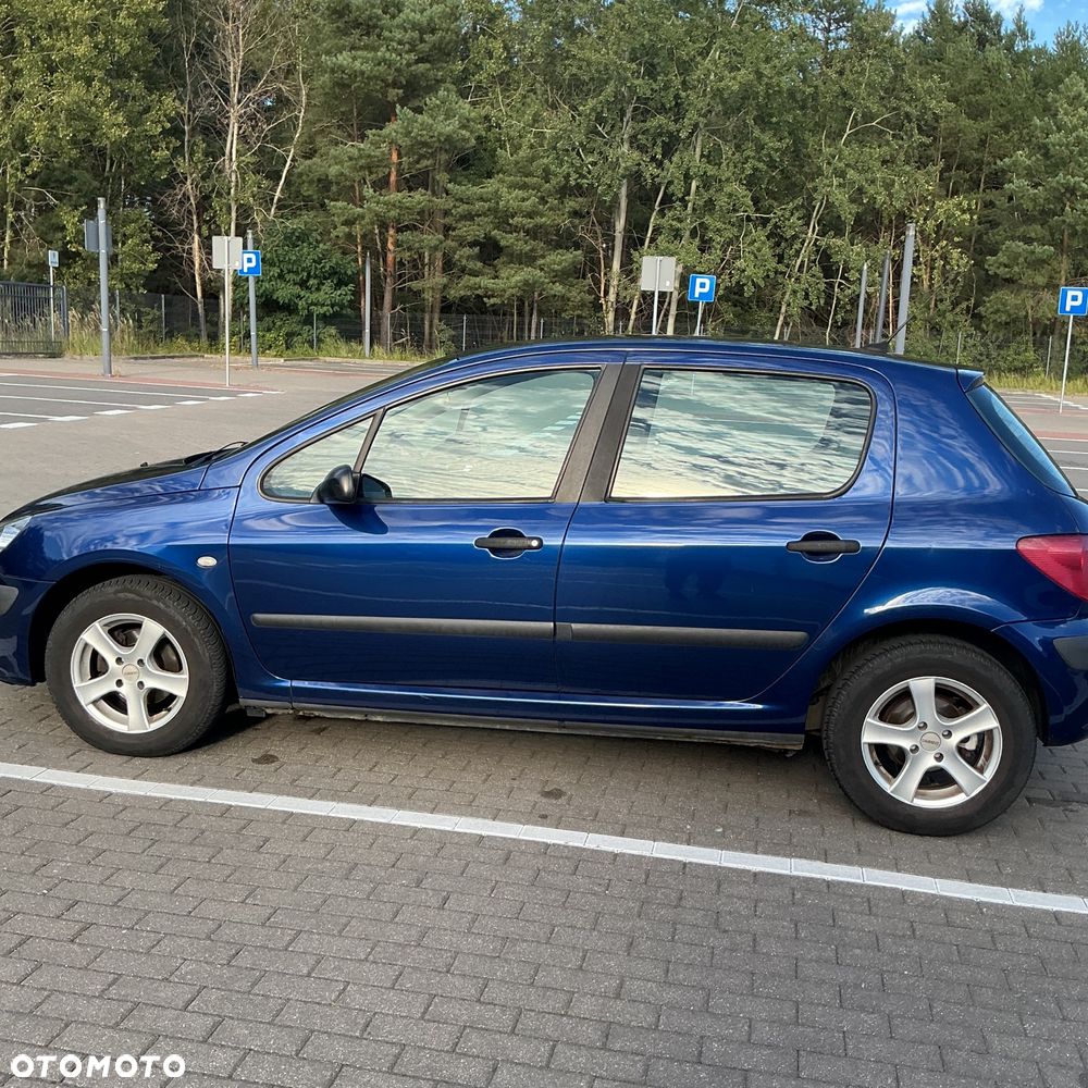 Peugeot 307 110 OXYGO - 6