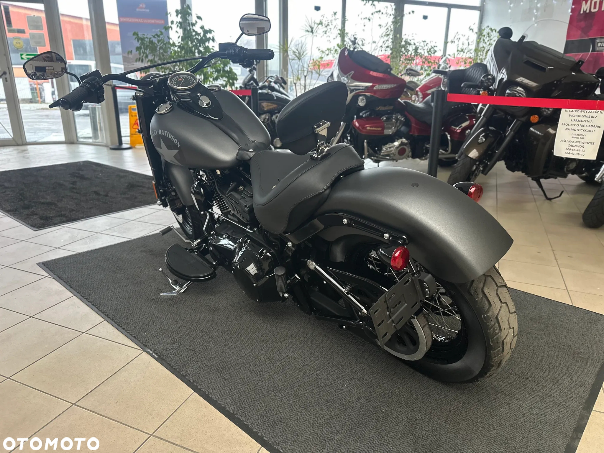 Harley-Davidson Softail Slim - 10