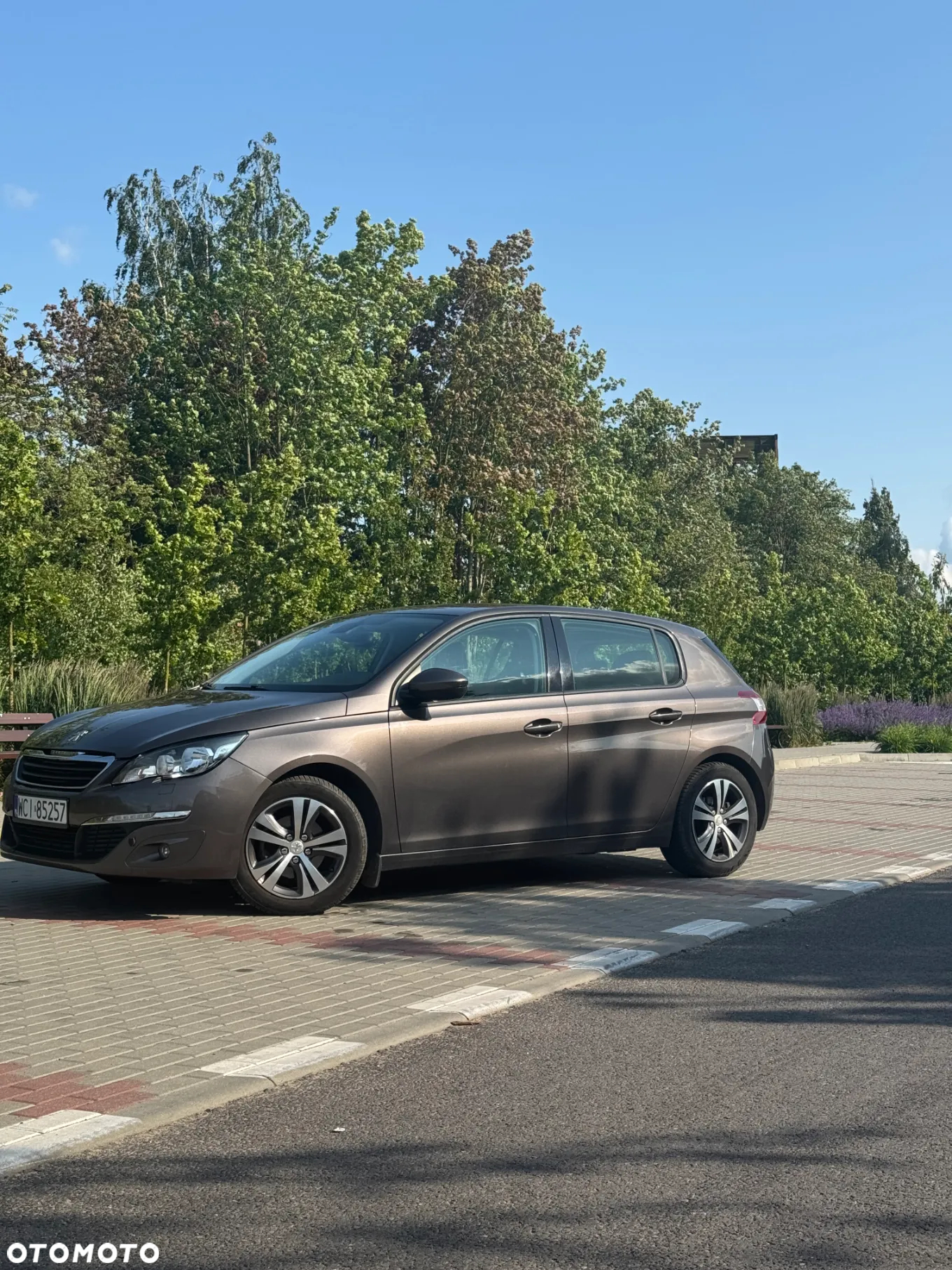 Peugeot 308 - 2