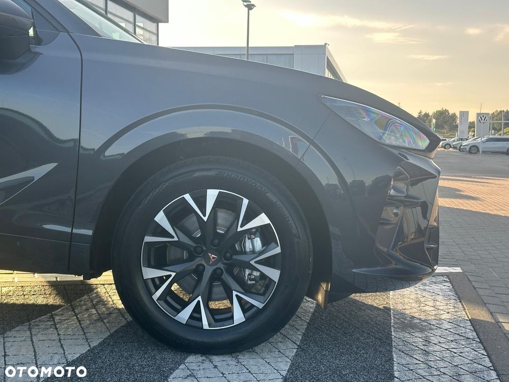 Cupra Terramar 2.0 TSI 4Drive DSG - 12