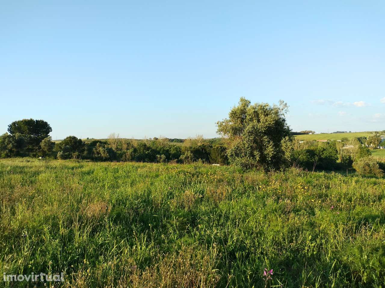 Terreno, 12 560 m², Alcanhões - Grande imagem: 3/9