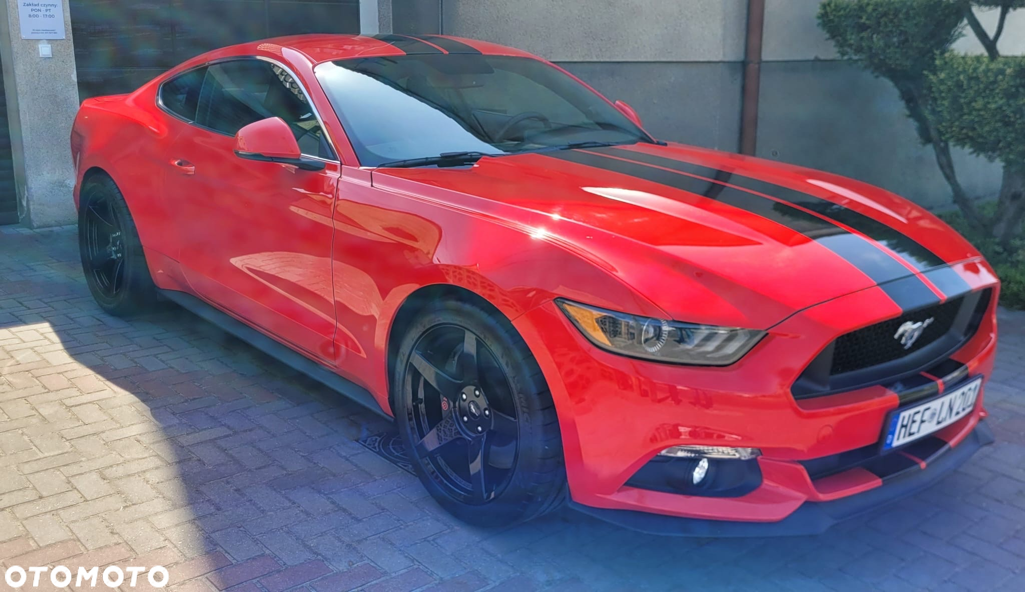 Ford Mustang 5.0 V8 GT - 2