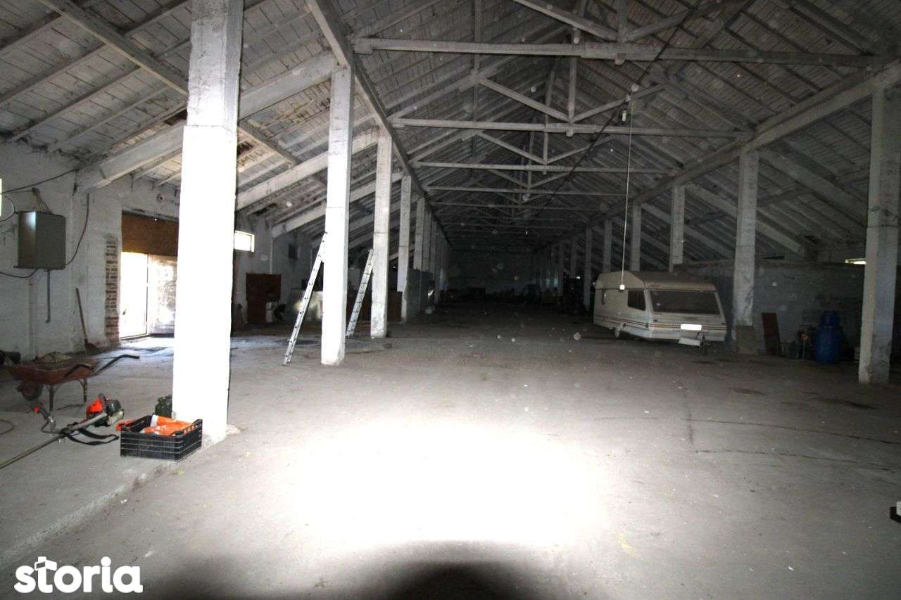 Hala in Independenta - Imagine principală: 5/7