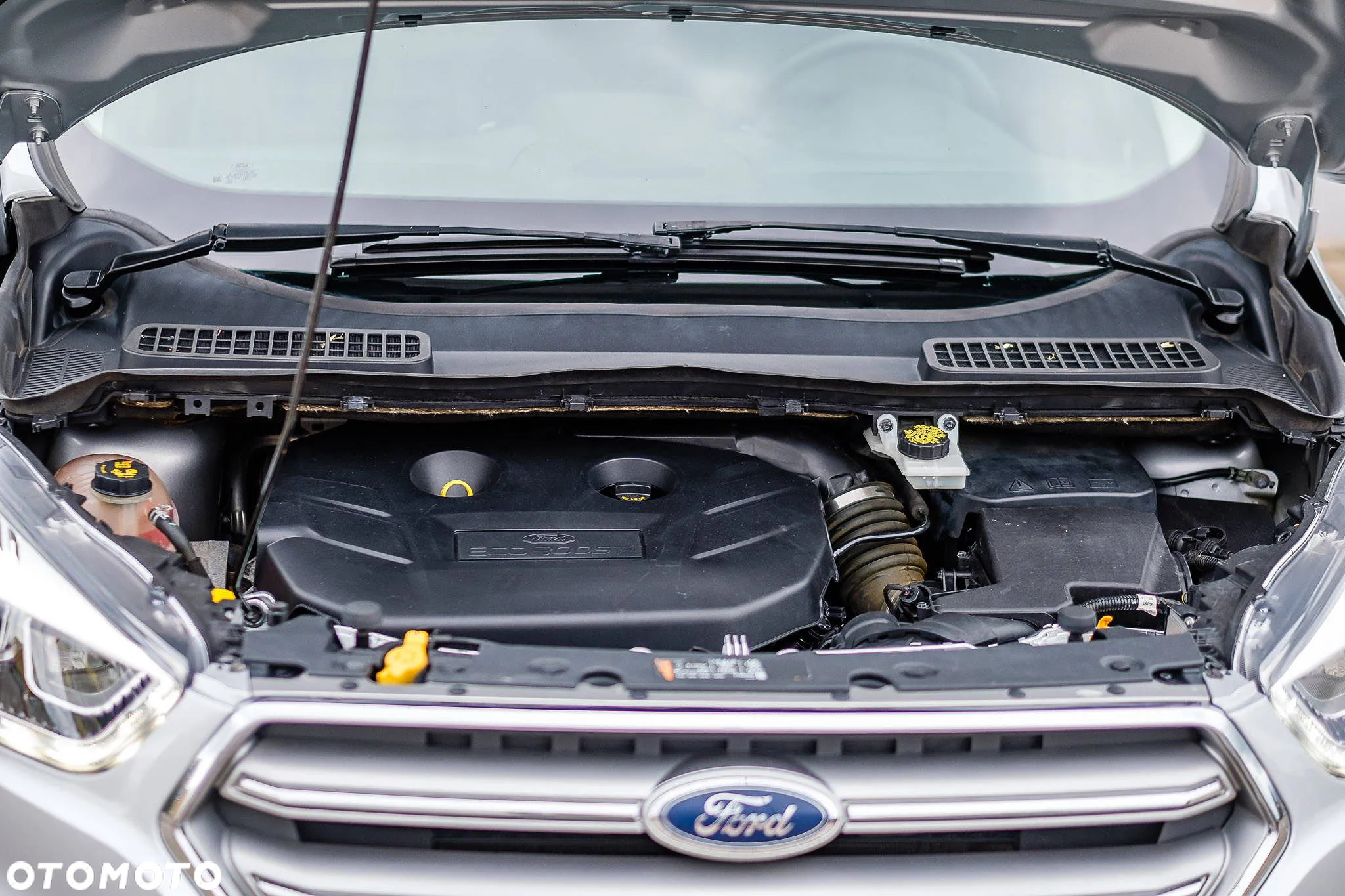 Ford Kuga - 4
