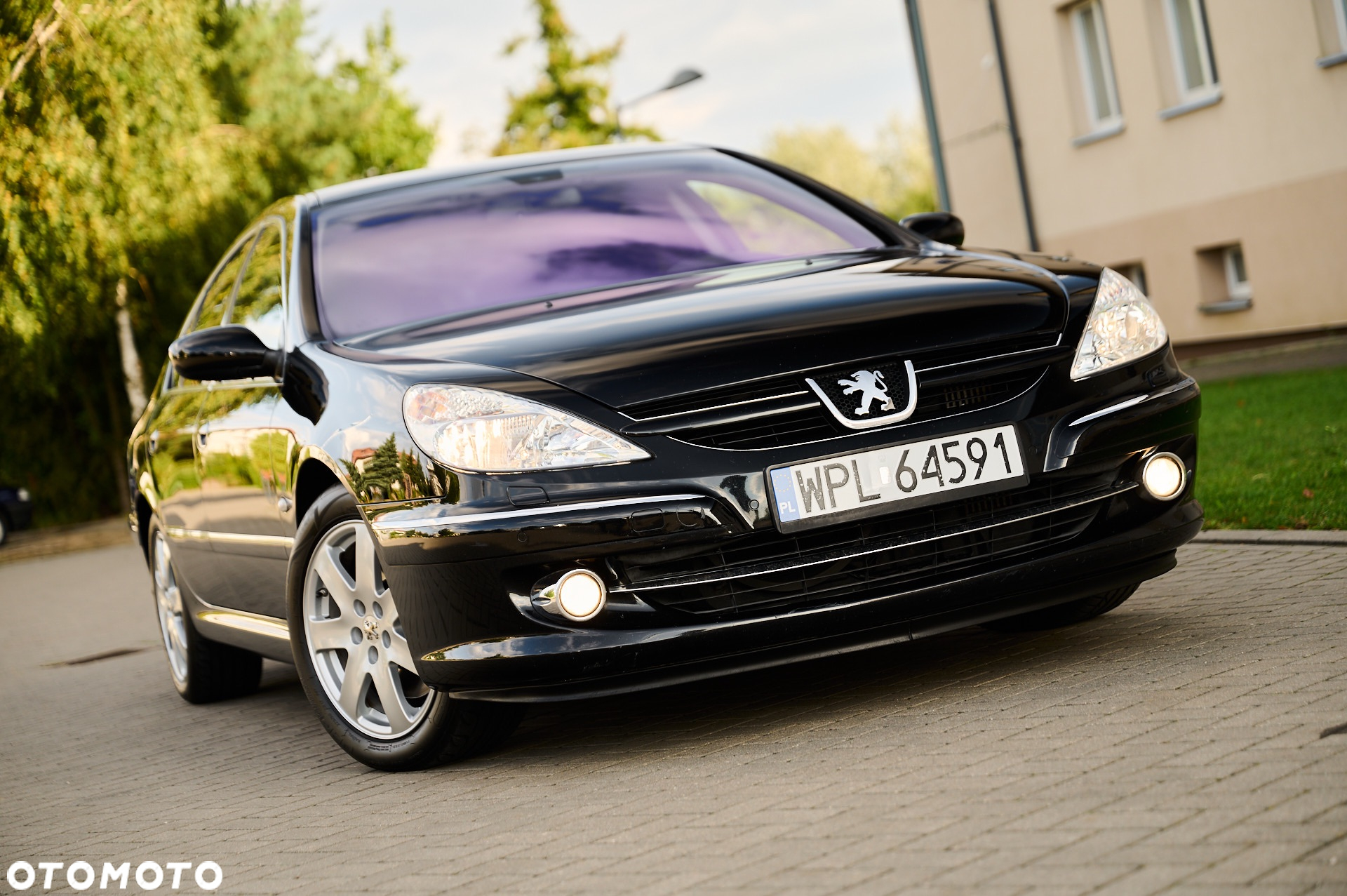Peugeot 607 - 17